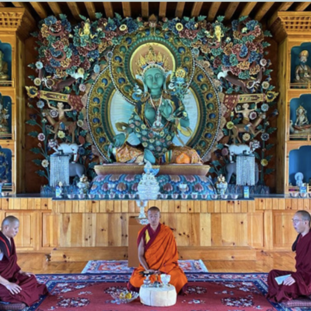 Twilight Walking Meditation with RINPOCHE