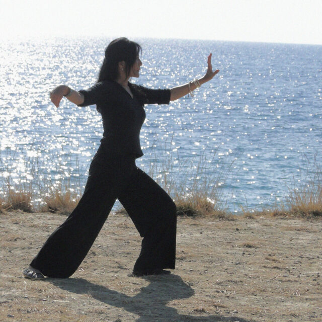TAI CHI / QI GONG 2026